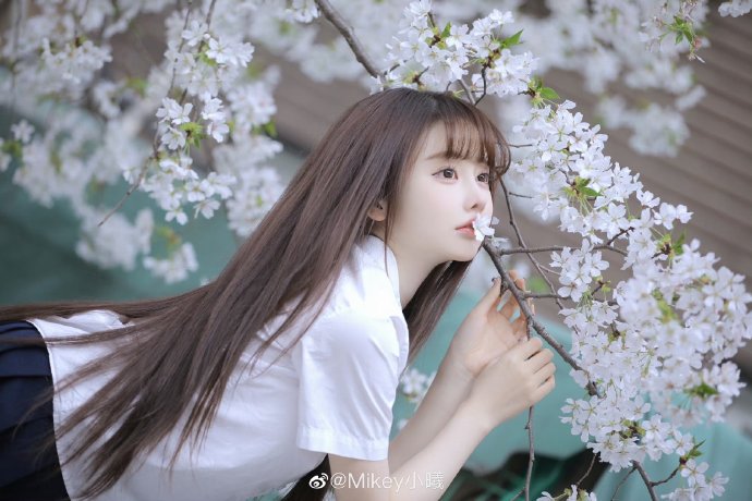 漫长的季节 封面
